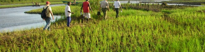 We enable development We enable development