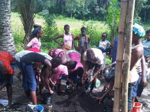 Rotifunk community gets involved with preparing the bags to hold seedlings. 