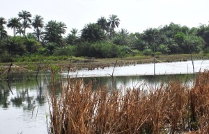 Fishing net stretched across river inlet.
