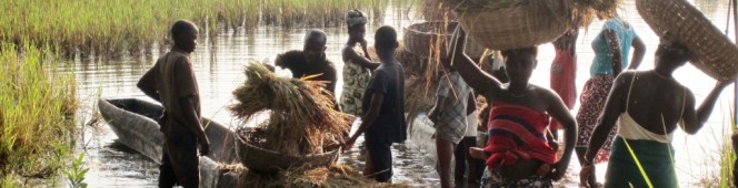 Connecting the Dots: Sierra Leone – US Shared History Connecting the Dots: Sierra Leone – US Shared History