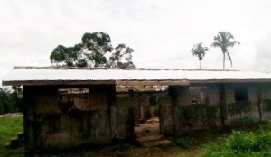 10637736_720409494694857_1289394485_n