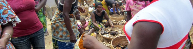Today Everyone in Sierra Leone is an Ebola&nbsp;Victim