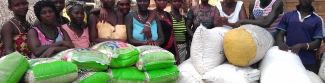 Empowering Women Post-Ebola – the Vegetable Growing&nbsp;Project