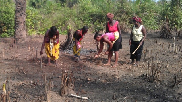 Veg project women breaking ground 5-15