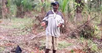 Growing Self-Sufficient Futures – Dec 2015&nbsp;newsletter