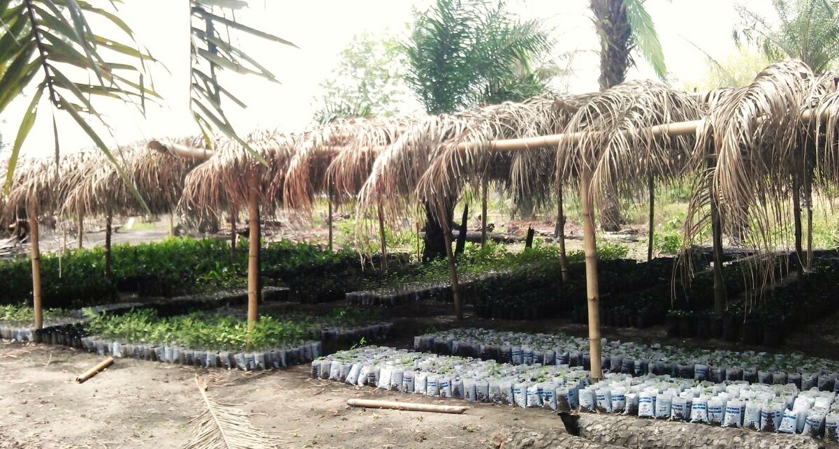 IMG-20150523-WA0000 - Copy.jpg