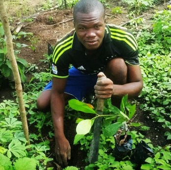 mikes-orchard-2-june-16-copy