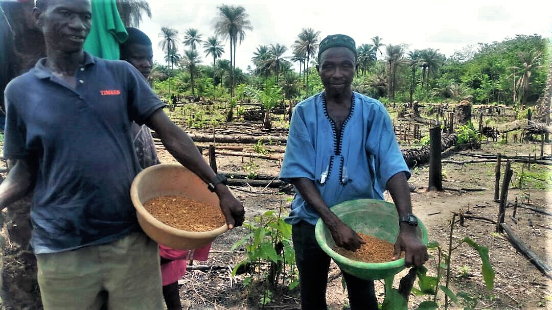 Planting rice May 24, '17 (2)