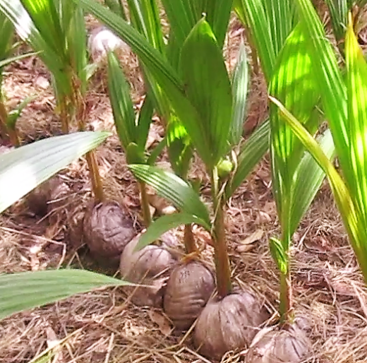 vlcsnap-error787 (2)