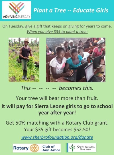 Rotary GiveTues Flyer.pdf convert 10-21-18