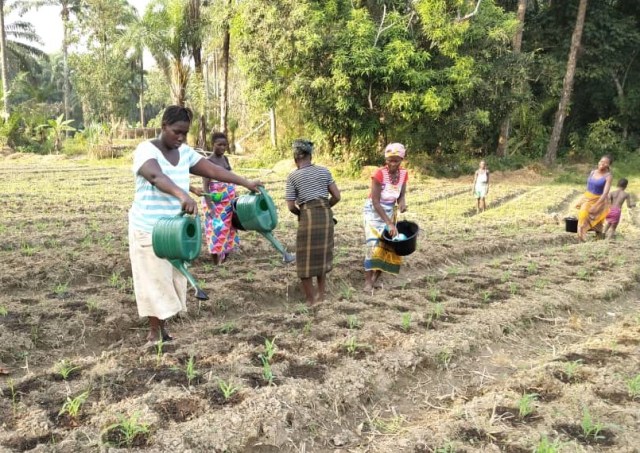 Peppers d 3-6-19 (2)