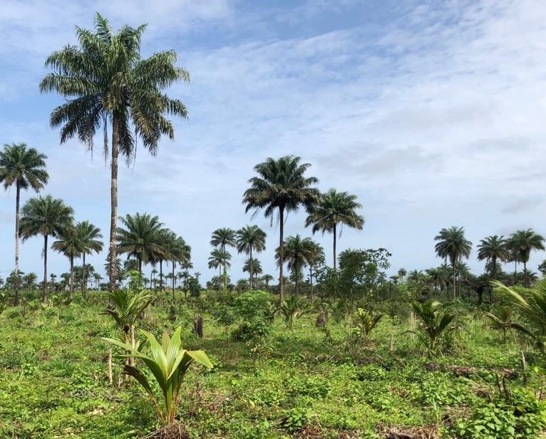 IMG-20190927-WA0018 (2)