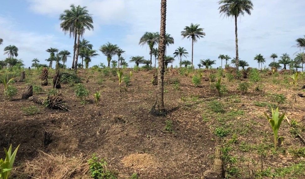 IMG-20190927-WA0021 (2)